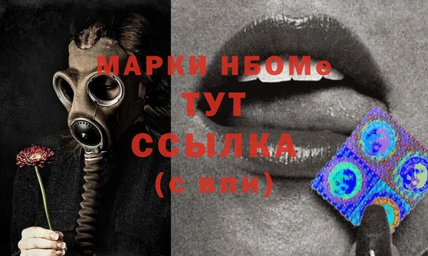 сатива Баксан
