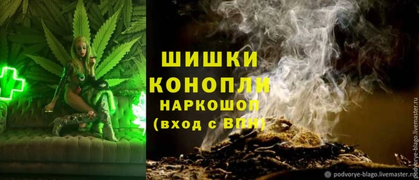 сатива Баксан