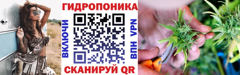 Марихуана OG Kush  Кувшиново 